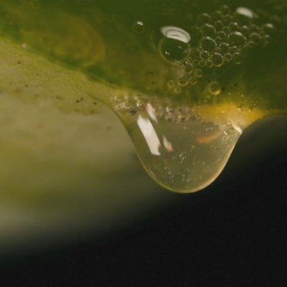 Forever Aloe Vera Gel®